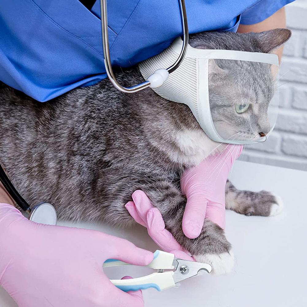 Pet Muzzle Anti-bite Adjustable Breathable Anti-scratch Small Pet Transparent Grooming Muzzle Cat Supplies