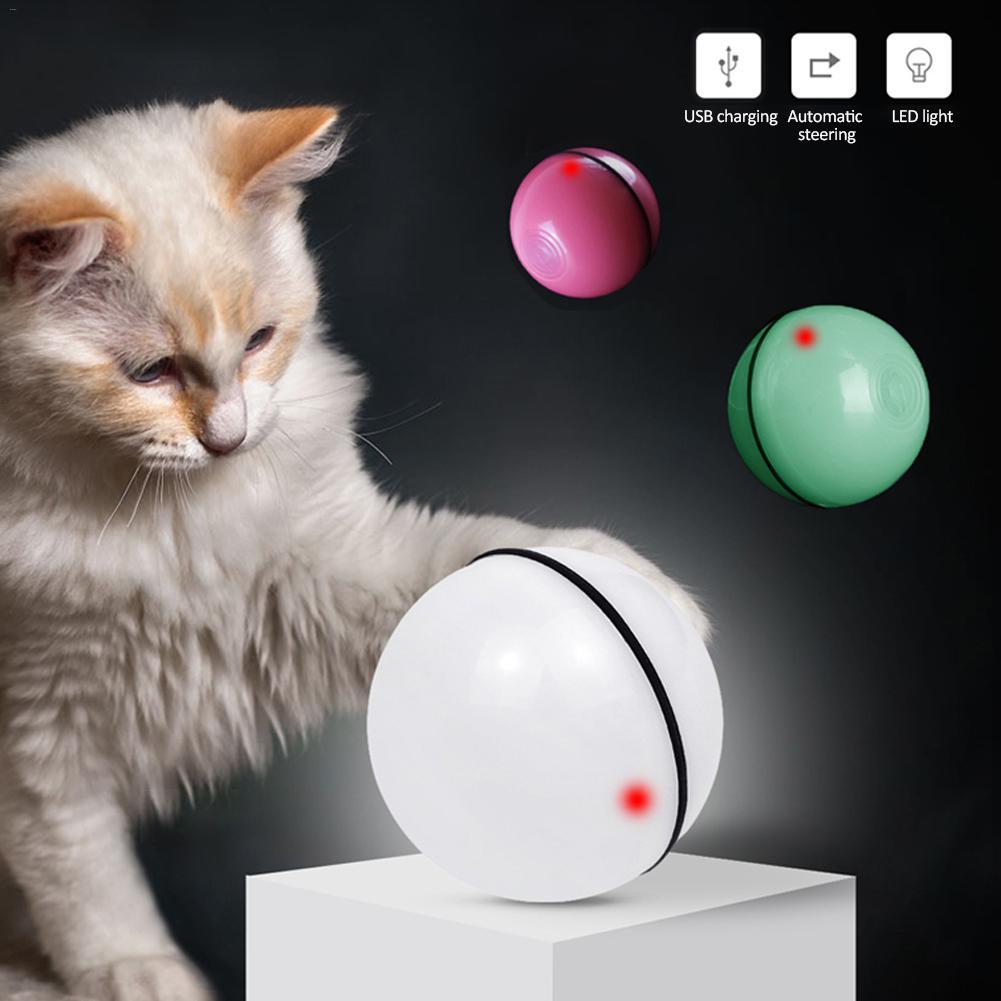 Best Cat Fun Toys For Bored Cats
